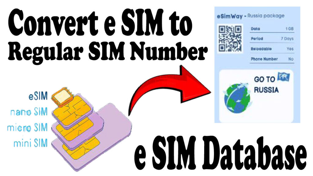 Use Regular Phone Number with e SIM